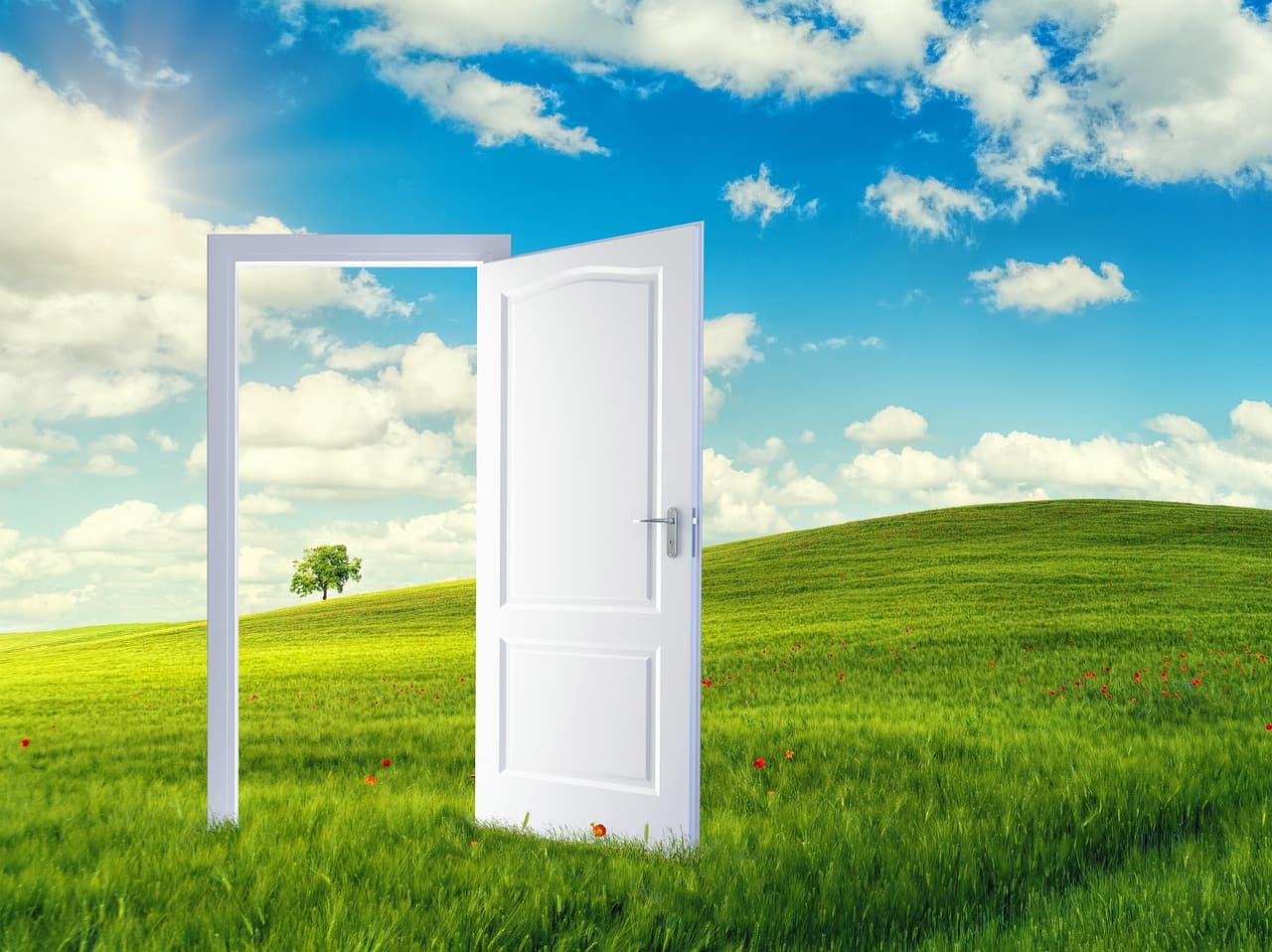 An open door standing in a green field under a clear sky, a threshold into a new way of working